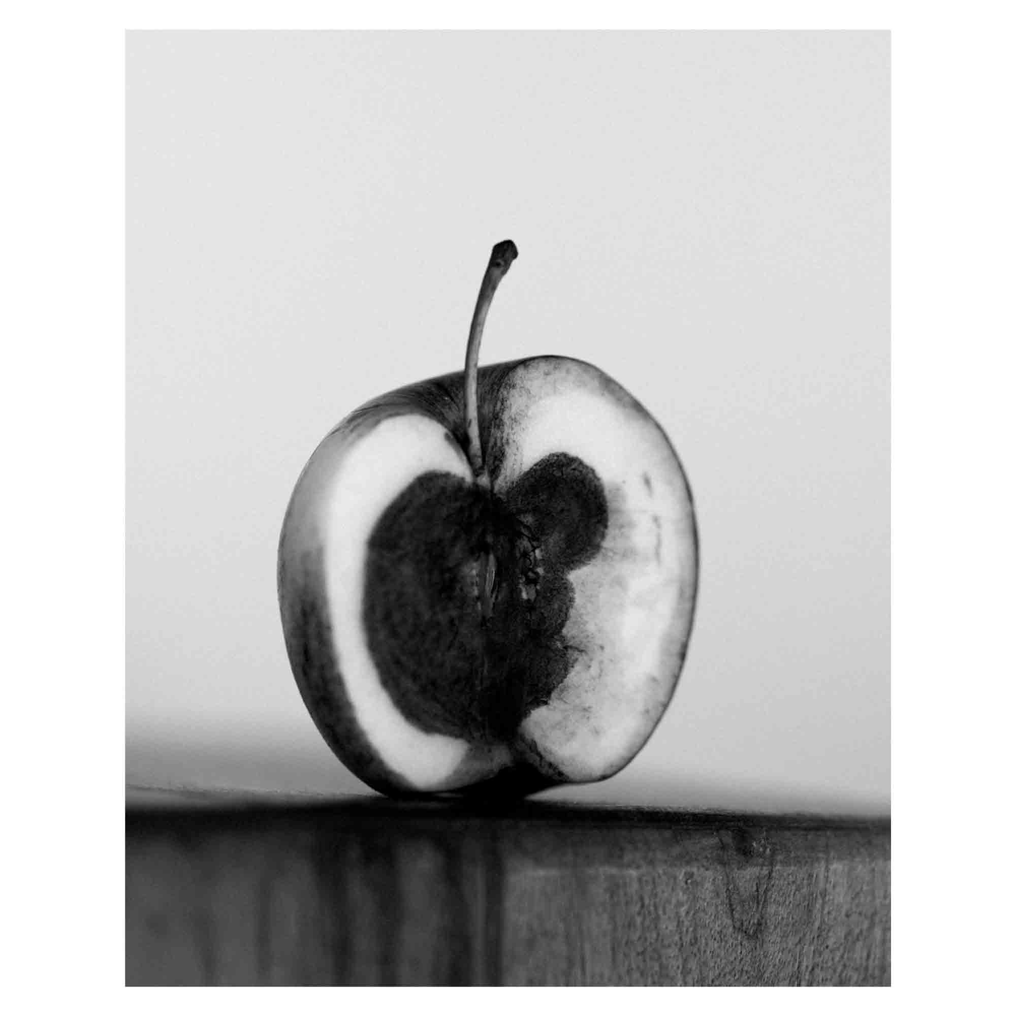 You felt the roots grow di Sabine Hess pubblicato da Witty books