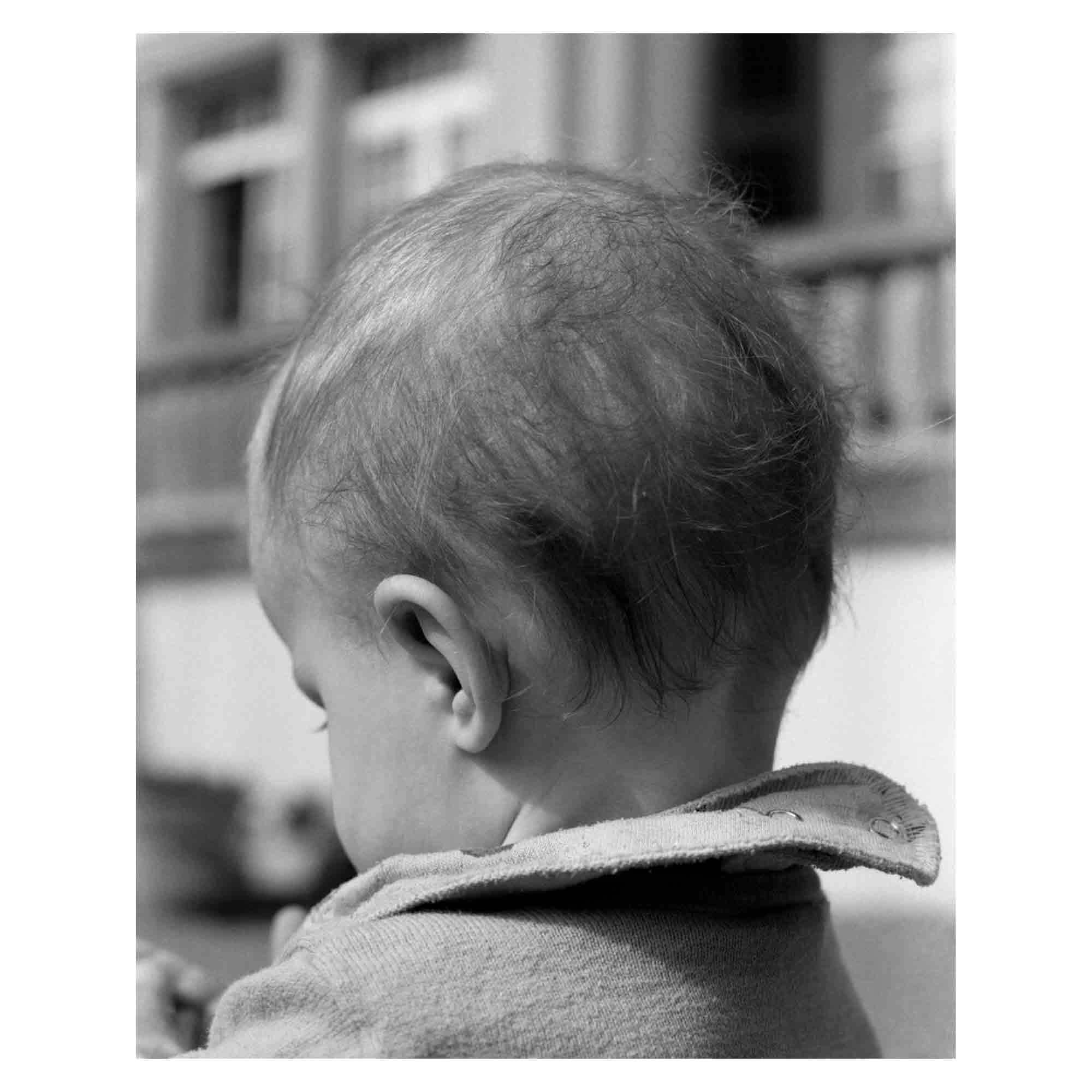 You felt the roots grow di Sabine Hess pubblicato da Witty books