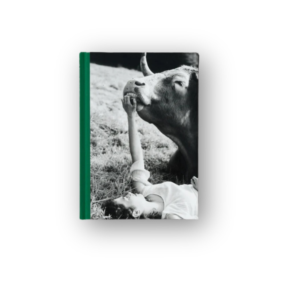 Companions | Yana Wernicke, 2023