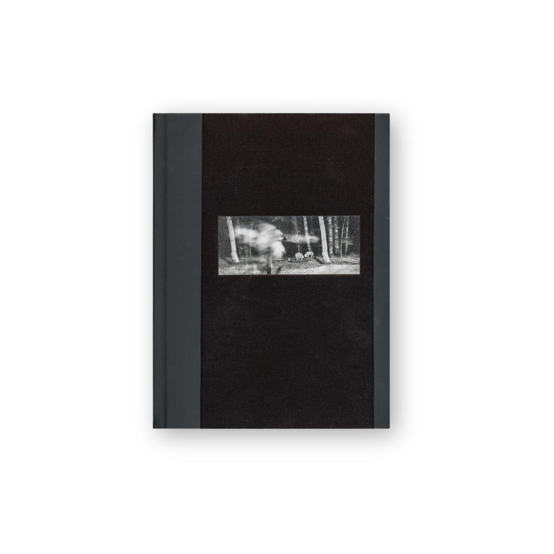 vanishing di anna arendt pubblicato da charcoal press